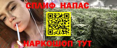 ешки Обь