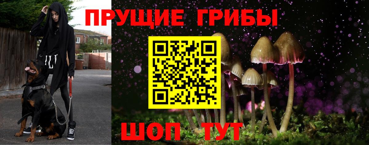 Псилоцибиновые грибы Cubensis  Вход с VPN  Серпухов 
